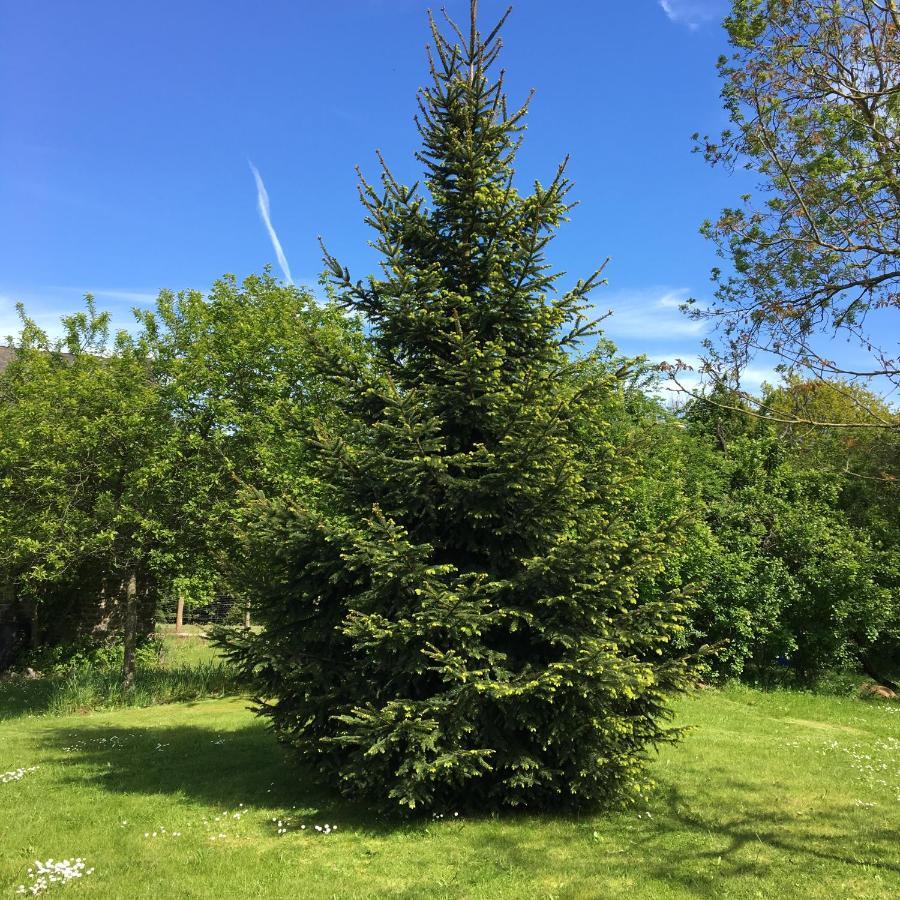 Lieu Dit Le Jardin Saint-Lambert  Eksteriør bilde